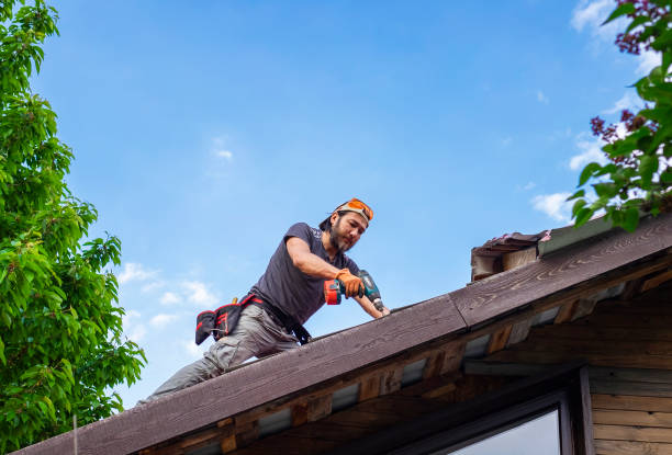 Best Roof Maintenance and Cleaning  in Cleveland, OH